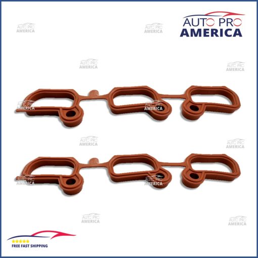 SET NEW ENGINE INTAKE MANIFOLD GASKET for BMW 325i 325xi 330i 330xi 11611436631