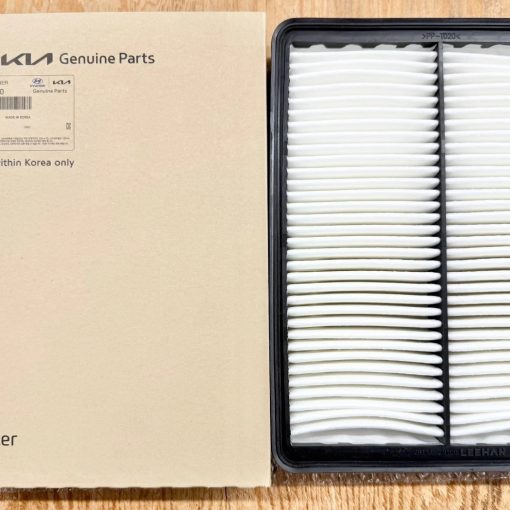 Air Cleaner Filter for 2013-19 Hyundai Santa Fe 2011-2015 Sorento 281132W100