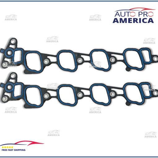 Lower Intake Manifold Gaskets Ford Crown Victoria Mustang 4.6L SOHC V8 5.4L SET