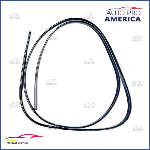 Moulding Bumper Bar 2003-2011 Lincoln Town Car 3W1Z17C830AA Genuine Ford OEM NEW
