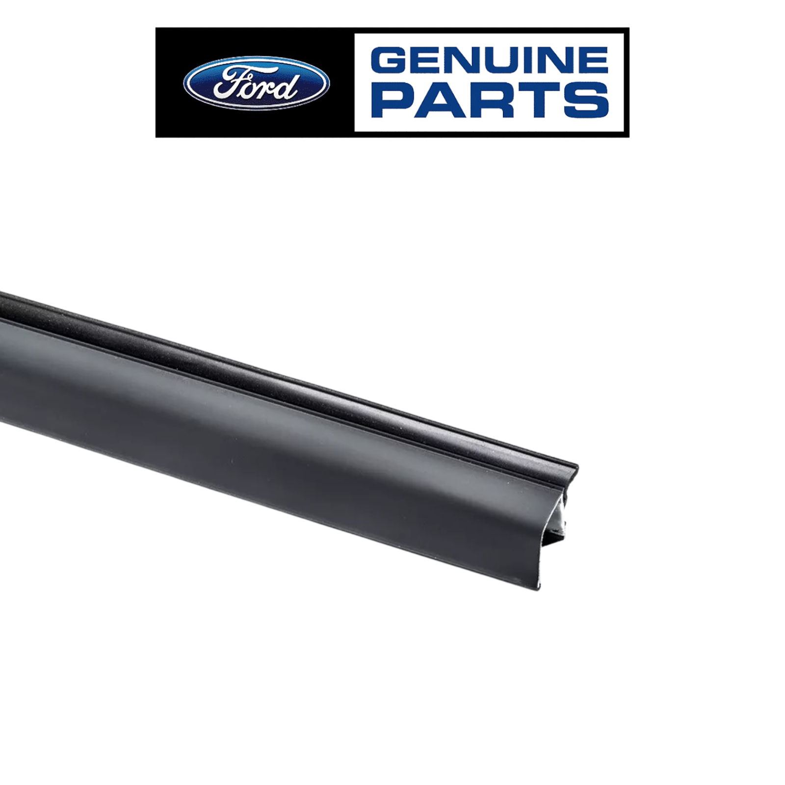 OUTER WINDOW WEATHER STRIP for FORD RANGER 1999-2011 PASSENGER DOOR (RH) OEM